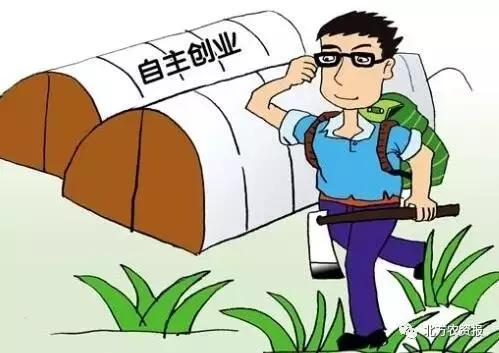 返乡创业建公司,返乡创业