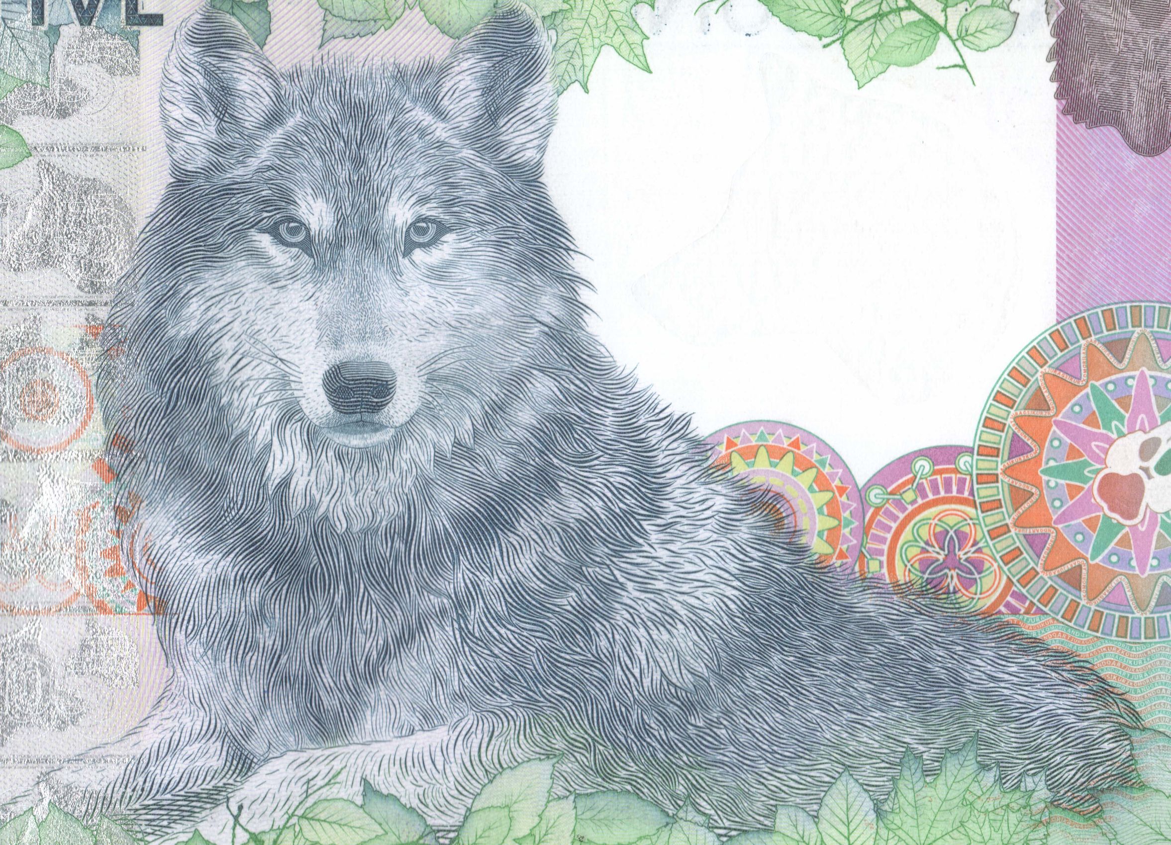 从“狼钞”引伸开来