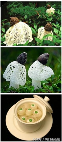 大别山深处的绝美山珍!