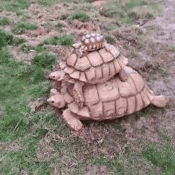 舌头太短是因为肾脏不好吗,舌头太短想变长