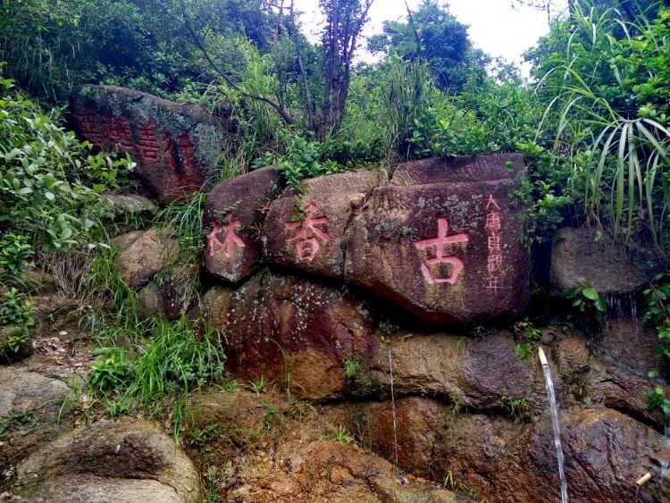 到中山的千年古刹古香林寺旧址周边山林探秘，感觉大自然太美啦