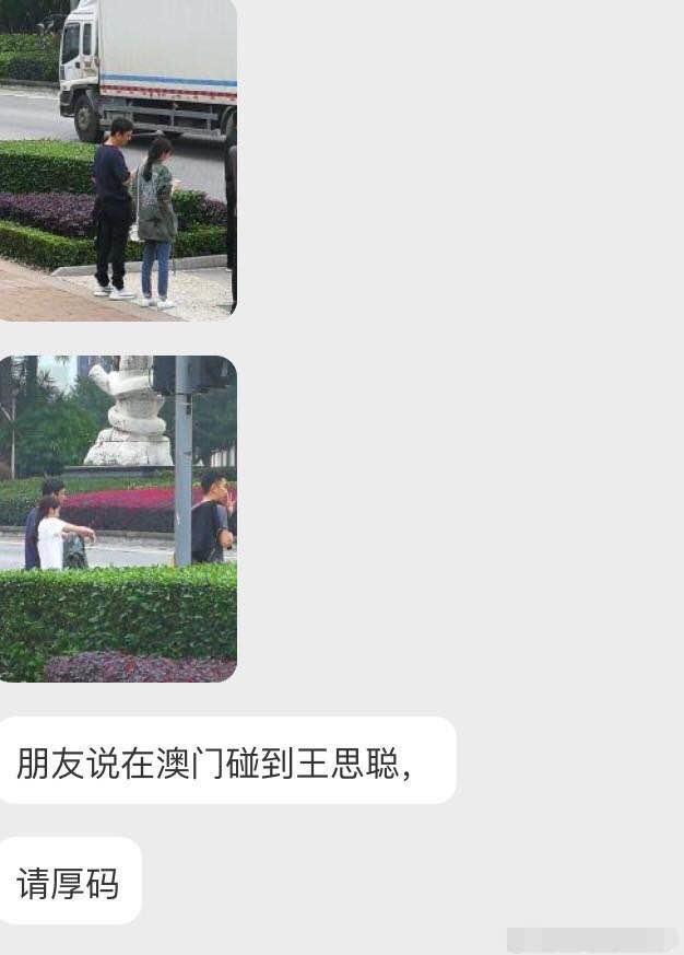 王思聪雪梨近况,王思聪和雪梨近况