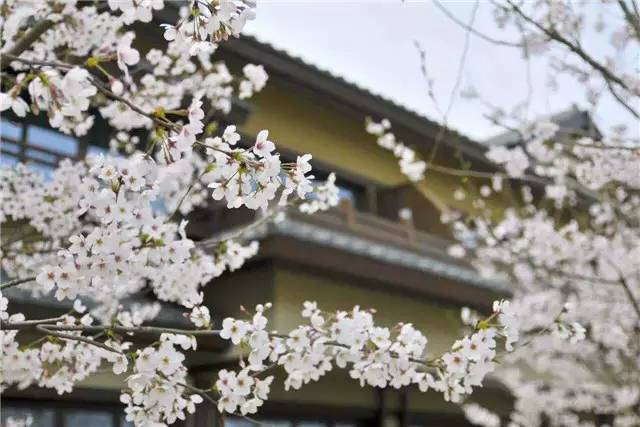 去无锡有什么酒店推荐,去无锡玩酒店定在哪里比较合适