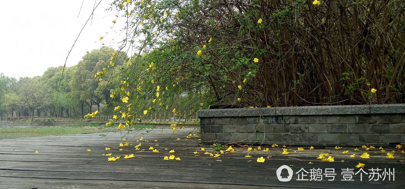 苏大独墅湖学校怎么样,苏大独墅湖校区相关视频