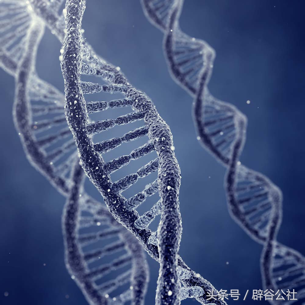 别让你的身体先于你老去，该辟谷时就辟谷