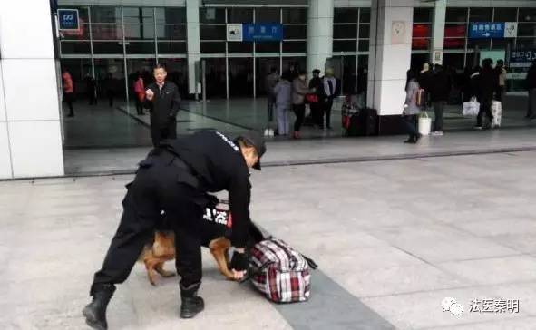 只有异性能闻到对方体香吗,为啥能闻到异性朋友的体香