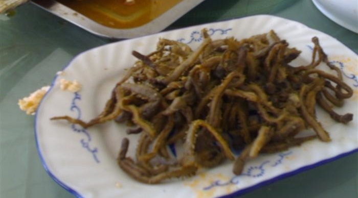 这些奇特的虫子食物你尝试过吗,各种虫子吃的食物