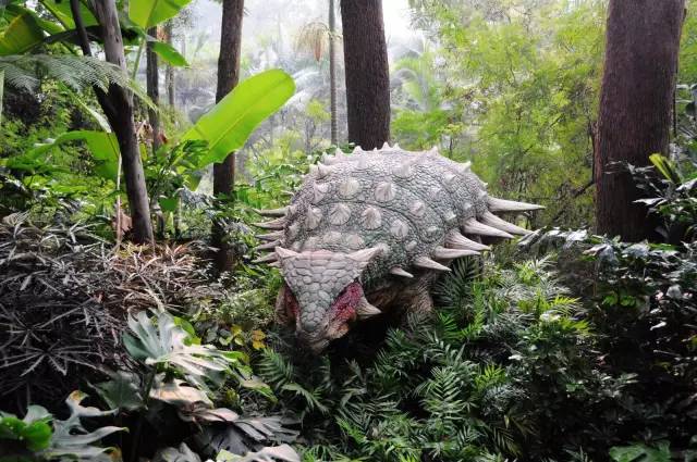 广州长隆野生动物园真实评价,广州长隆野生动物园讲解动物