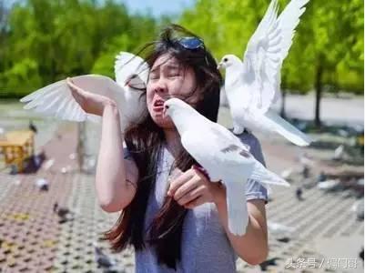 如何在微信群加上活粉,微信群迅速增粉