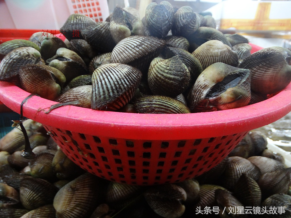 来三亚旅游想吃带壳的海鲜，不当冤大头，要有智慧善挑选和会安排