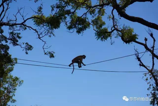 斯里兰卡旅游线路图高清,斯里兰卡自由行旅游攻略