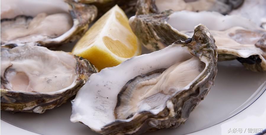 莆田牡蛎吃法,莆田海蛎的美味