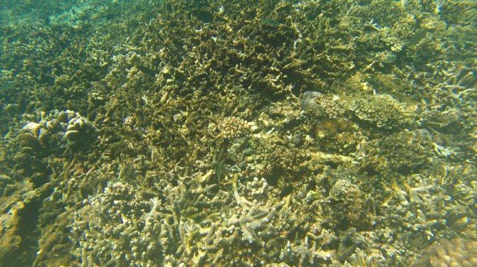 巴厘岛2天自由行,巴厘岛十一天自由行