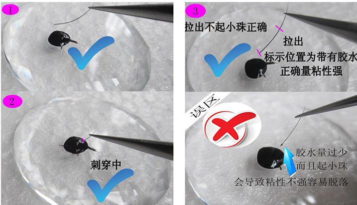 做美睫的胶水使用之前怎么晃,美睫店专用美睫胶使用方法