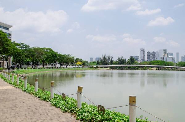 如何办理越南出差签证,越南签证加急办理流程视频