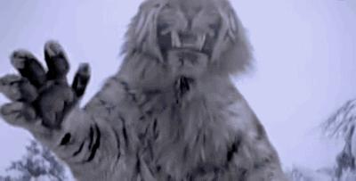 女演武则天，男演杜月笙：冯小刚葛优张涵予谁更枭雄？