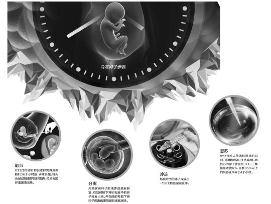 单身女性冻卵事件,年轻女性冻卵