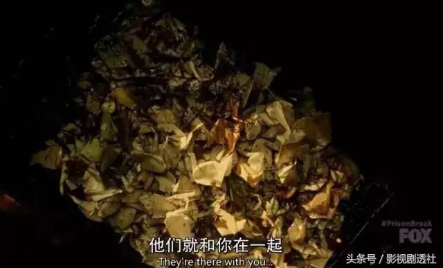 越狱第5季完整解说大结局,越狱第5季更新