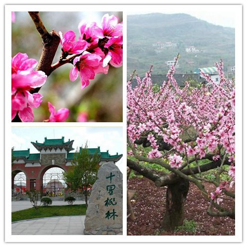 兰州古村落古民居,兰州的破败的古村落