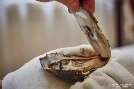 莆田牡蛎吃法,莆田海蛎的美味