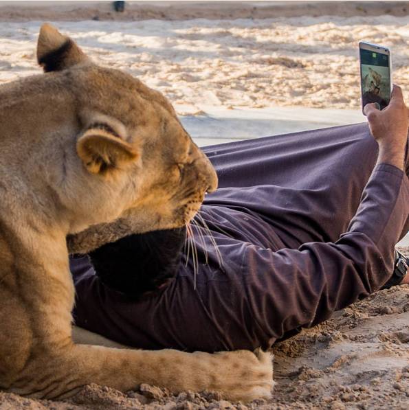顶级豪车豪宅,豪宅豪车那么有吸引力吗