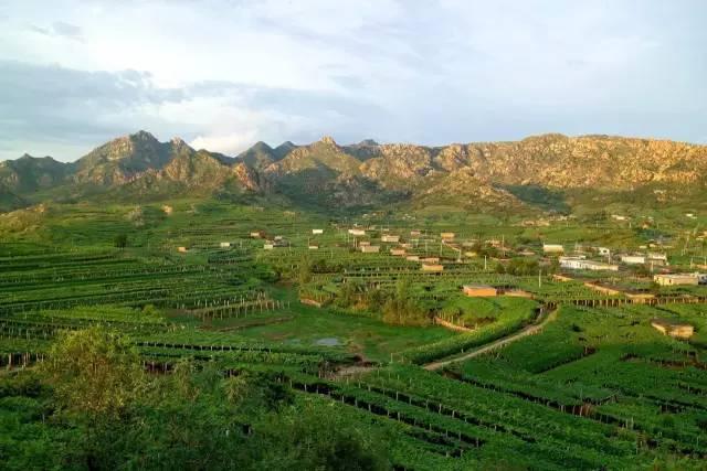 唐山国家级旅游度假区,唐山最好的旅游小镇