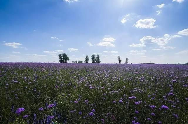 唐山国家级旅游度假区,唐山最好的旅游小镇