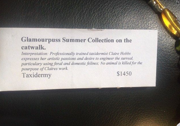 国外公然叫卖由真猫做成的包，价格高达1万竟然还被抢断货