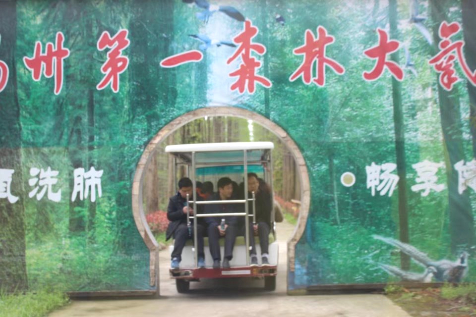 扬州湿地森林公园免费景点,扬州第一森林氧吧