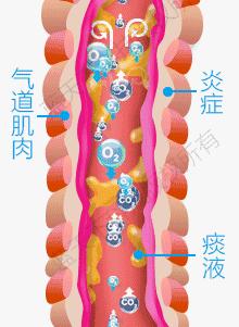 至简清肺仪对肺气肿人有效吗,肺大泡或肺气肿能不能使用清肺仪