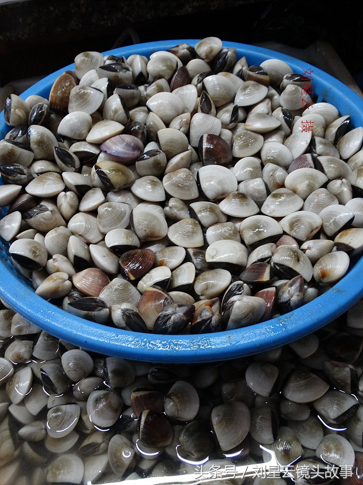 来三亚旅游想吃带壳的海鲜，不当冤大头，要有智慧善挑选和会安排