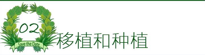 多肉植物如何防治病害,多肉植物病害处理视频