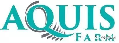 雅士种公马罗马大帝配种费不到1万，子嗣在香港赚了3000万！