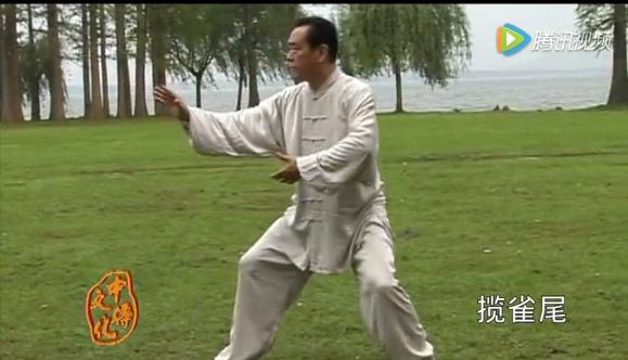 传统杨式85式太极拳云手傅清泉,杨式85式太极拳云手单鞭教学