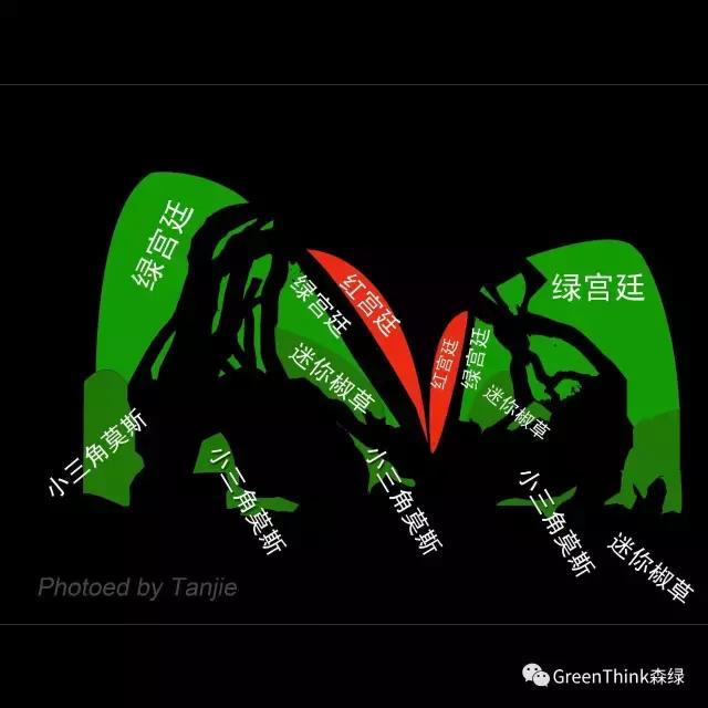 水草缸造景大师视频大全,水草造景大师