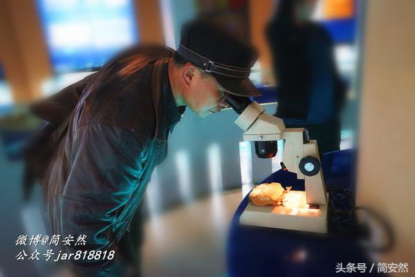 几亿年前海洋生物,生命摇篮澄江老照片