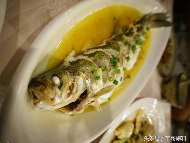 上海到乌镇旅游攻略精品路线,上海到乌镇旅游攻略多少公里