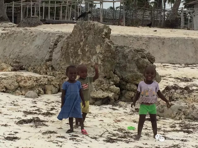 一生必去一次的非洲坦桑尼亚｜回归狂野