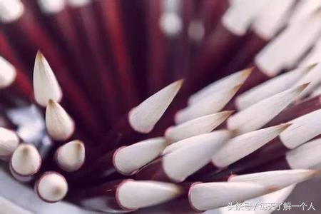 中国引以为傲的文房四宝产地在哪,我国文房四宝最正宗的原产地是