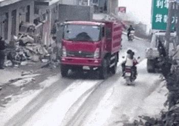 蒲公英不是晒干就能喝,真正的蒲公英可以吃吗