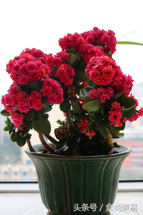 没时间煮汤,没时间煮蔬菜用什么代替