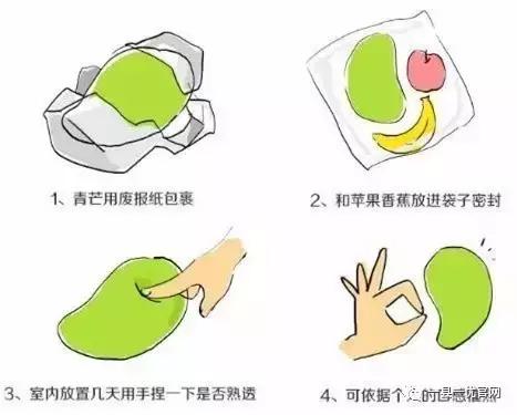 越南进口芒果大青芒,新果上市云南特产零食