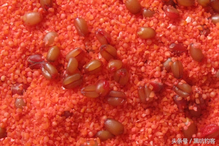 鱼不吃饵的原因和解决方法,鱼在什么情况下不吃饵