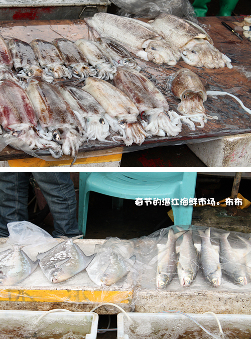 湛江本地人都爱去的地方,湛江一个人去的景点有哪些