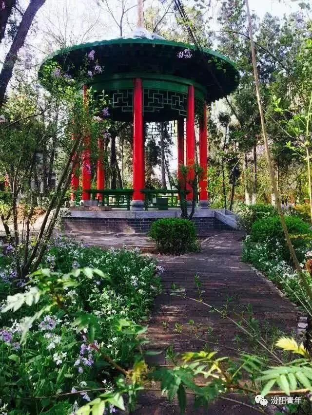 汾阳有几所高级中学,汾阳高级中学全省排名