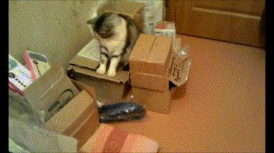 情侣小游戏恐怖版,情侣之间千万不能玩的小游戏