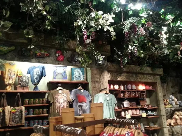 美国奥兰多一日游攻略,美国奥兰多迪士尼攻略