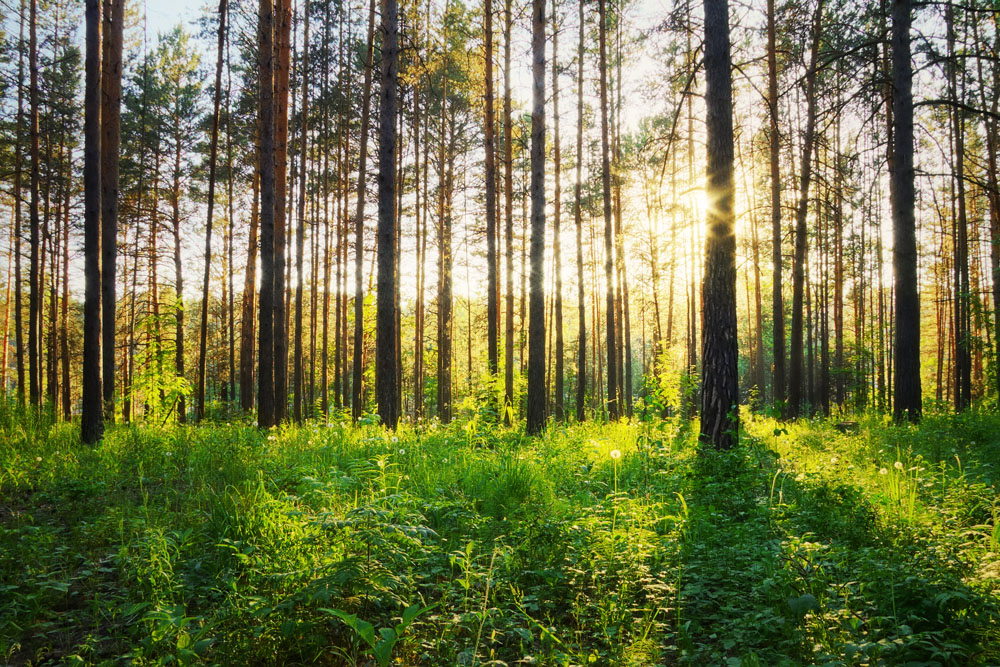 亚马逊运营选大公司好还是小公司,亚马逊运营重要还是选品重要