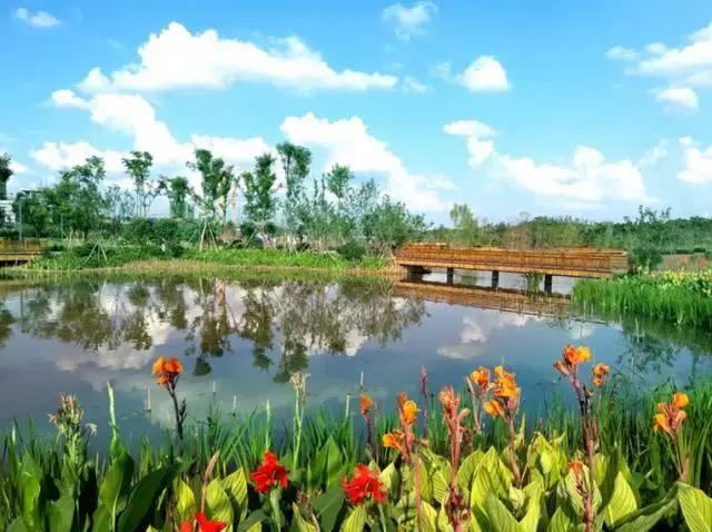 成都周边玫瑰景点推荐一下,成都玫瑰花海一日游