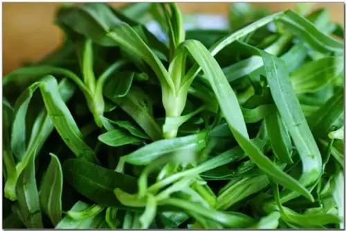 4月15日，大鸿寨将上演一场千人吃春的花草养生宴